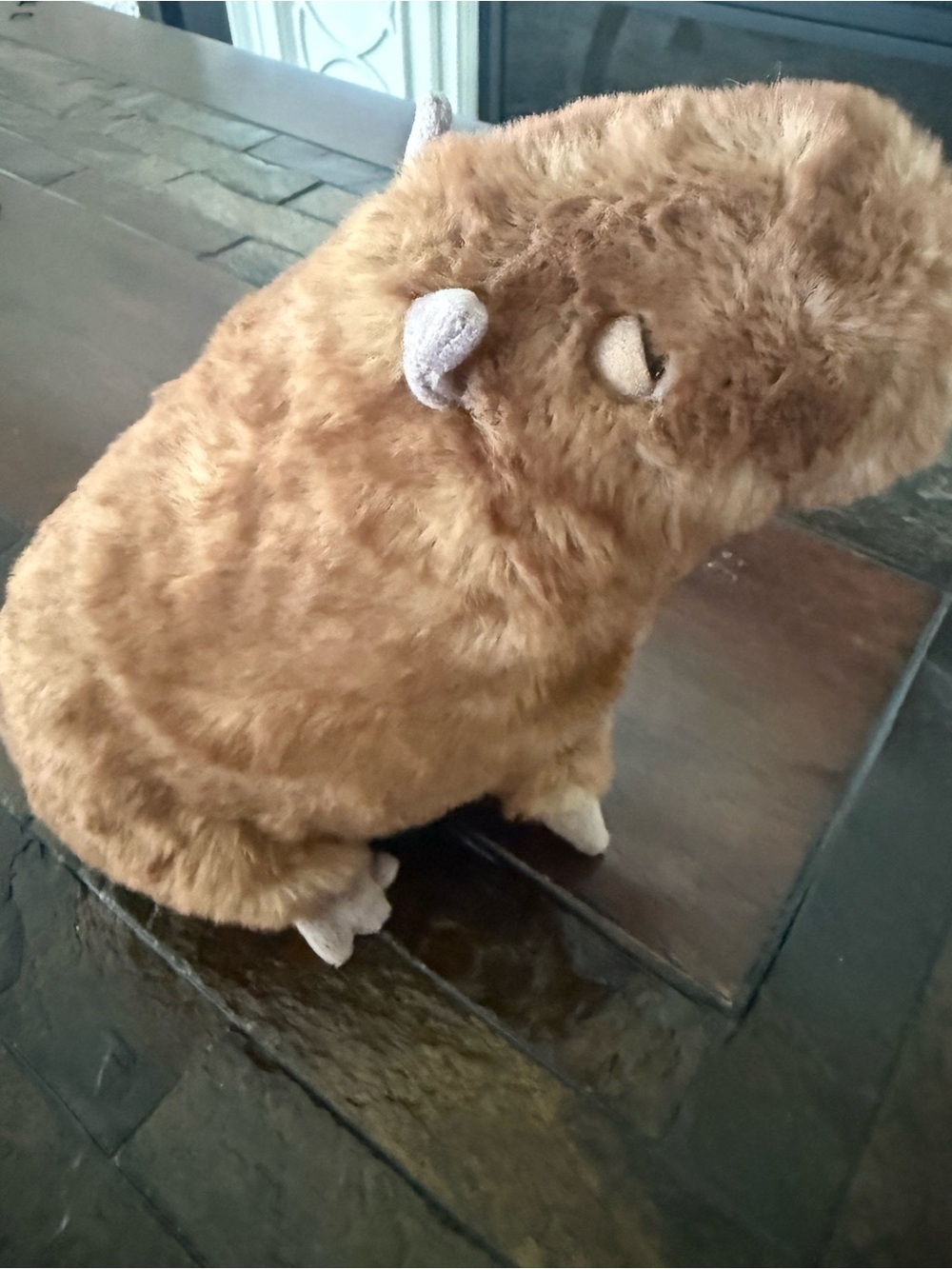 Jellycat Tan and Dark Brown Capybara Plush - Picture 2 of 11